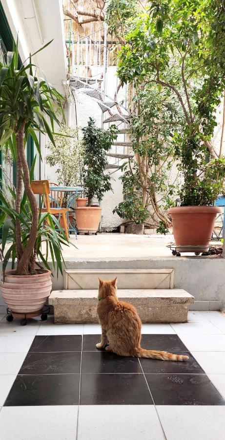 Athenian Yard Near Acropolis Villa Ngoại thất bức ảnh